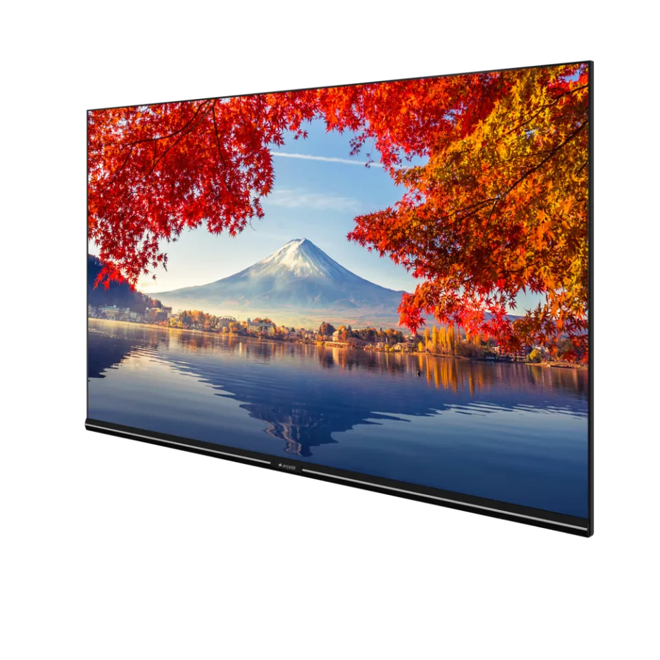 A32K 692G HOTEL TV LED & LCD TV